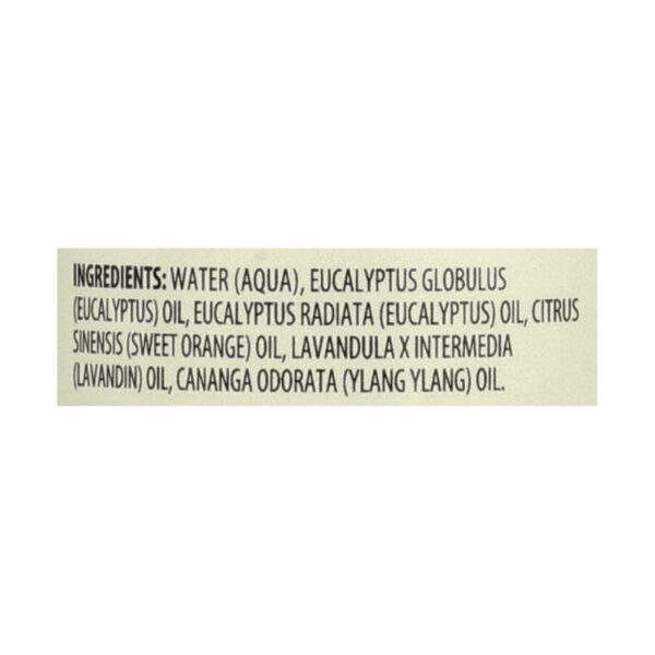 Aura Cacia - Aromatherapy Mist Eucalyptus Harvest - 4 Fl Oz - Image 2