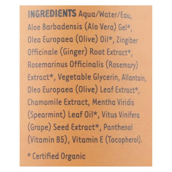 Organic Excellence Wild Mint Conditioner - 16 Oz - Image 2