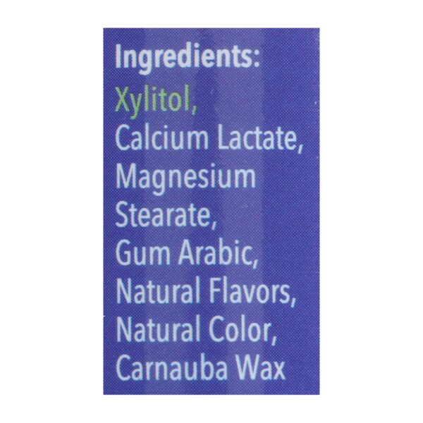 Spry Xylitol Mints - Peppermint - Case Of 6 - 45 Count - Image 2