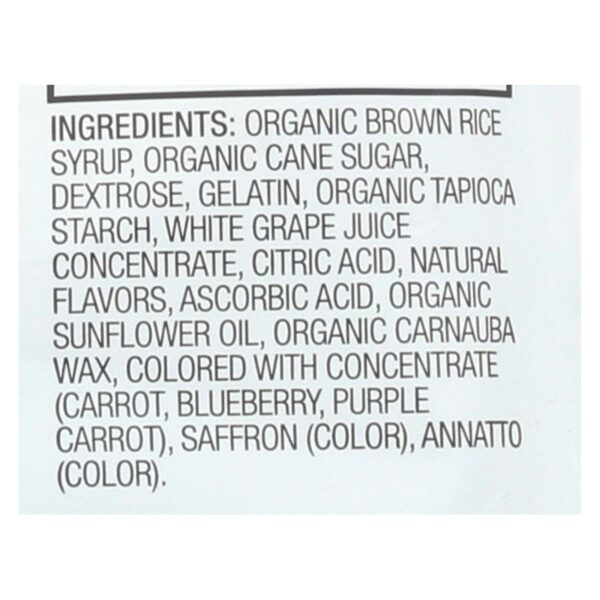 Yummy Earth Organics Gummy Bears - Organic - Snack Pack - .7 Oz - 10 Count - Case Of 12 - Image 2