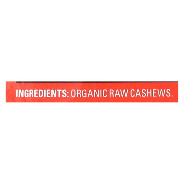 Artisana Organic Raw Cashew Butter - Squeeze Packs - 1.06 Oz - Case Of 10 - Image 2