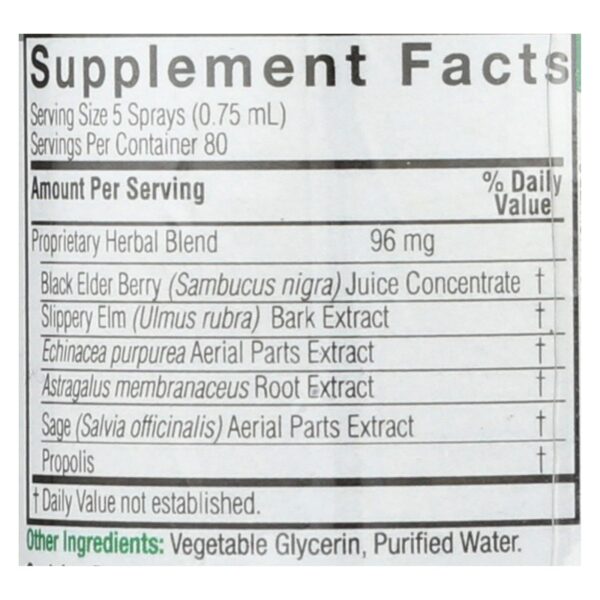 Nature's Answer - Sambucus Nigra Black Elder Berry Extract Spray - 2 Fl Oz - Image 2