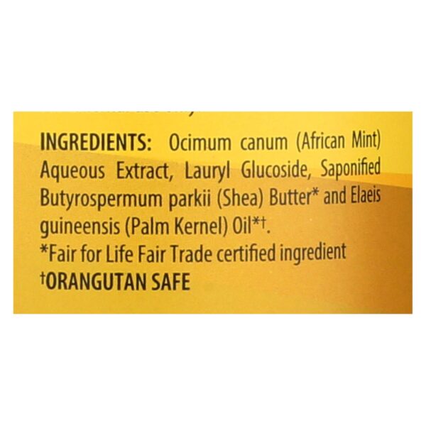 Alaffia - African Black Soap - Unscented - 32 Fl Oz. - Image 2