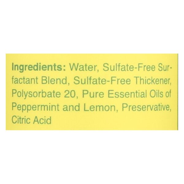 Rebel Green Dish Soap - Peppermint And Lemon - Deluxe - Case Of 4 - 16 Fl Oz - Image 2