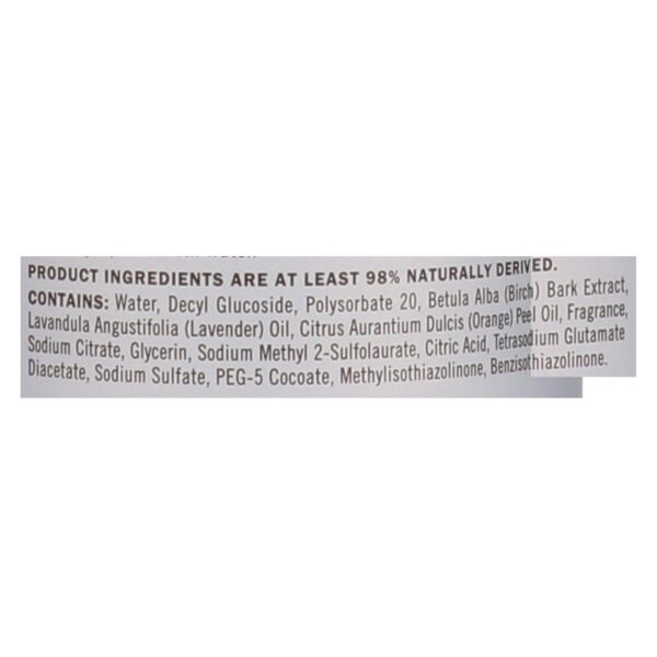 Mrs. Meyer's Clean Day - Multi-surface Everyday Cleaner - Lavender - 16 Fl Oz - Case Of 6 - Image 2