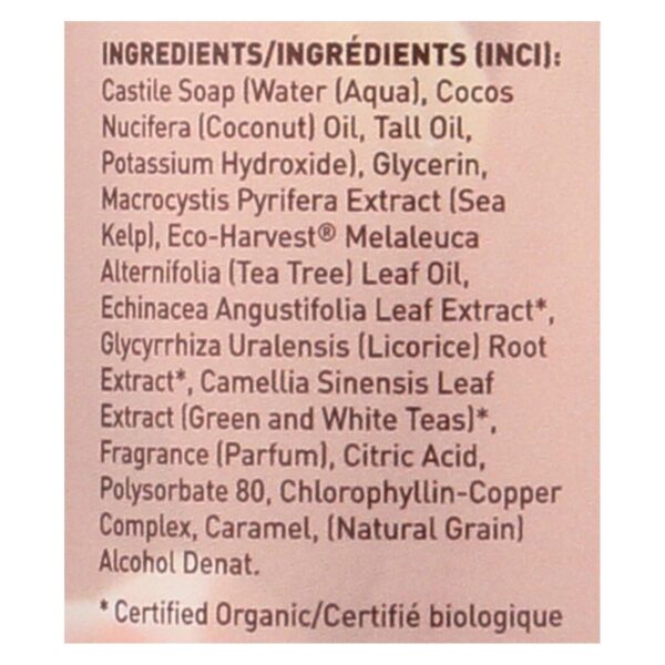 Desert Essence - Thoroughly Clean Face Wash With Eco Harvest Tea Tree Oil And Sea Kelp - 8.5 Fl Oz - Image 2