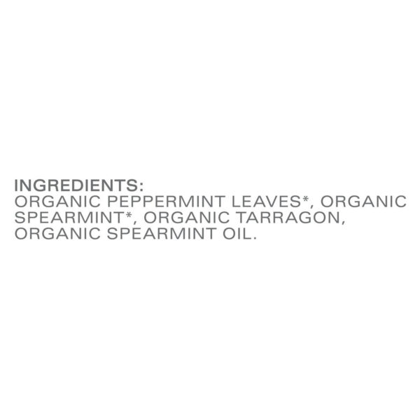 Tazo Tea - Herbal Tea Organic Refresh Mint - Case Of 6-16 Bags - Image 2