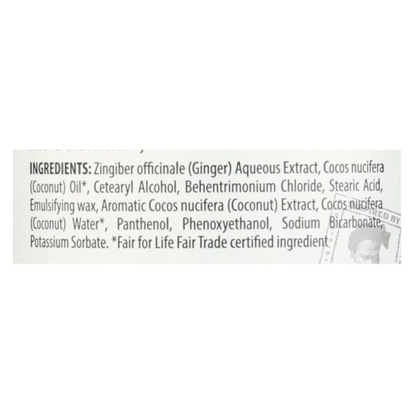 Alaffia - Everyday Conditioner - Coconut And Ginger - 32 Fl Oz. - Image 2