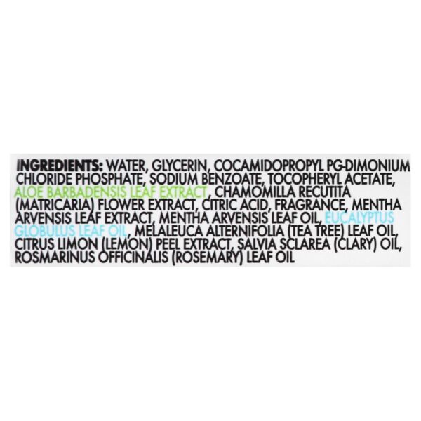 Dude Wipes - Wipes Dspnsr Pack Mint Chll - Case Of 8-48 Ct - Image 2