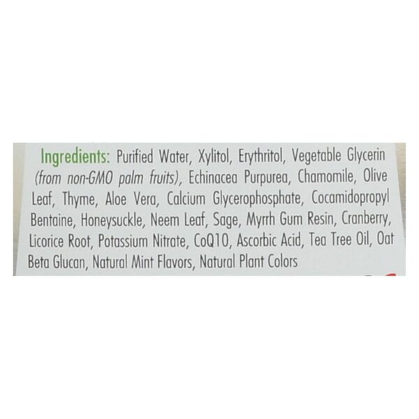 Spry Mouth Wash - Herbal Mint - Af - 16 Fl Oz - Image 2