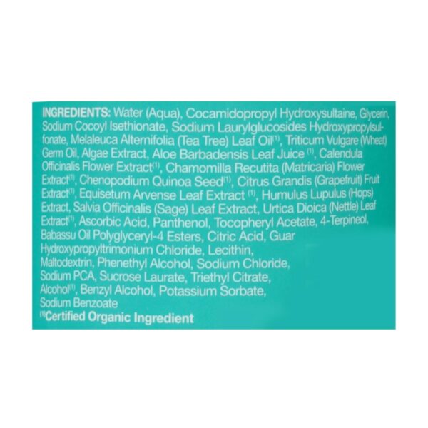 Jason Natural Products - Shampoo Tea Tree Purifying - 1 Each 1-12 Fz - Image 2