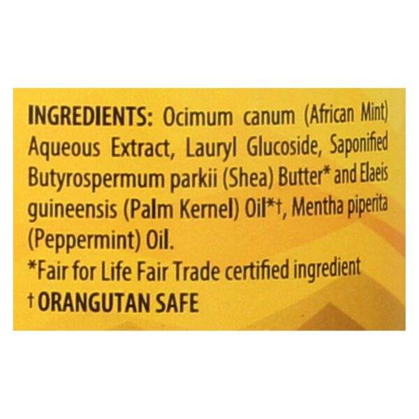 Alaffia - African Black Soap - Peppermint - 16 Fl Oz. - Image 2