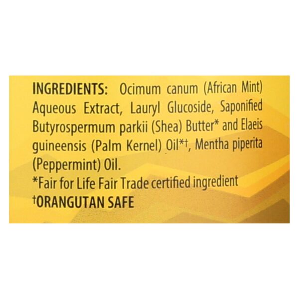 Alaffia - African Black Soap - Peppermint - 32 Fl Oz. - Image 2