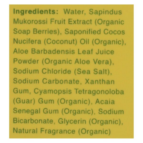 Rebel Green Laundry Detergent - Organic - Peppermint And Lemon - Case Of 4 - 64 Fl Oz - Image 2
