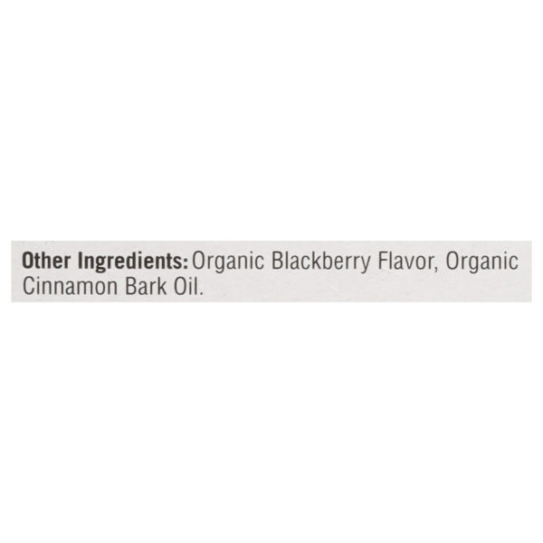 Yogi - Tea Spcd Blkbry Focus - Case Of 6-16 Bag - Image 2
