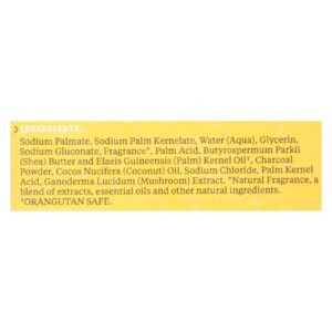 Alaffia - Soap Char Reishi Trpl Mld - 1 Each-5 Oz