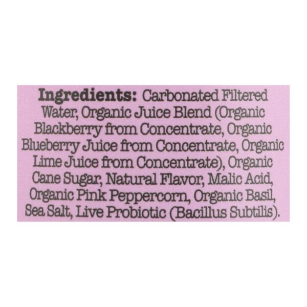 Culture Pop Soda - Soda Wild Berries - Case Of 6-4/12 Fz - Image 2