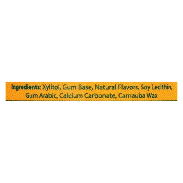 Epic Dental - Xylitol Gum - Fresh Fruit - 50 Pieces - Image 2