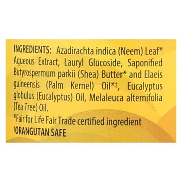Alaffia - African Black Soap - Eucalyptus Tea Tree - 32 Fl Oz. - Image 2