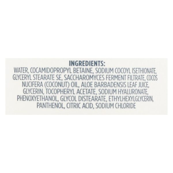 Kirk's Natural - Hand Soap Fragrance Free - 12 Fz - Image 2