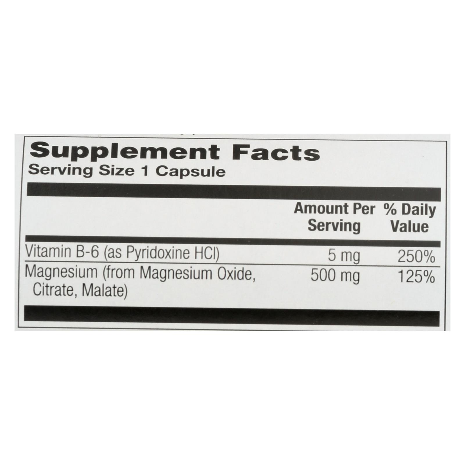 Nature's Life - Magnesium 500mg - 1 Each 1-100 Cap - Image 2