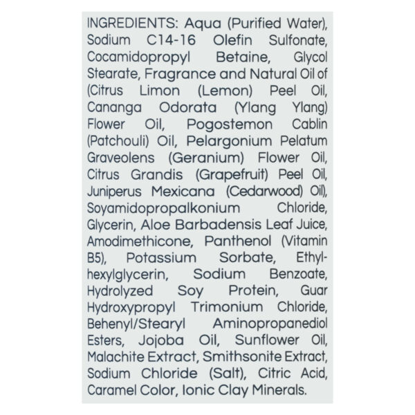 Zion Health - Shampoo Minerls Regenerate - 1 Each - 16 Oz - Image 2