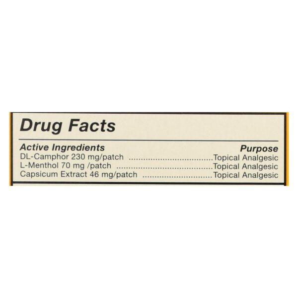 Tiger Balm Pain Relieving Large Patches - Case Of 6 - 4 Pack - Image 2