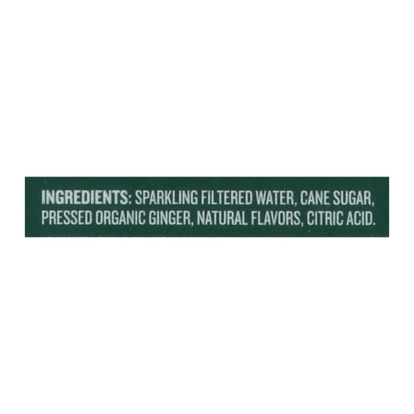Reed's - Ginger Ale Real Sleek - Case Of 6-4/12 Fz - Image 2