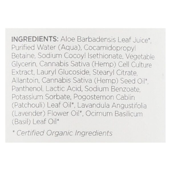 Andalou Naturals Shower Gel Patchouli + Basil Mint - 1 Each - 8 Fl Oz. - Image 2
