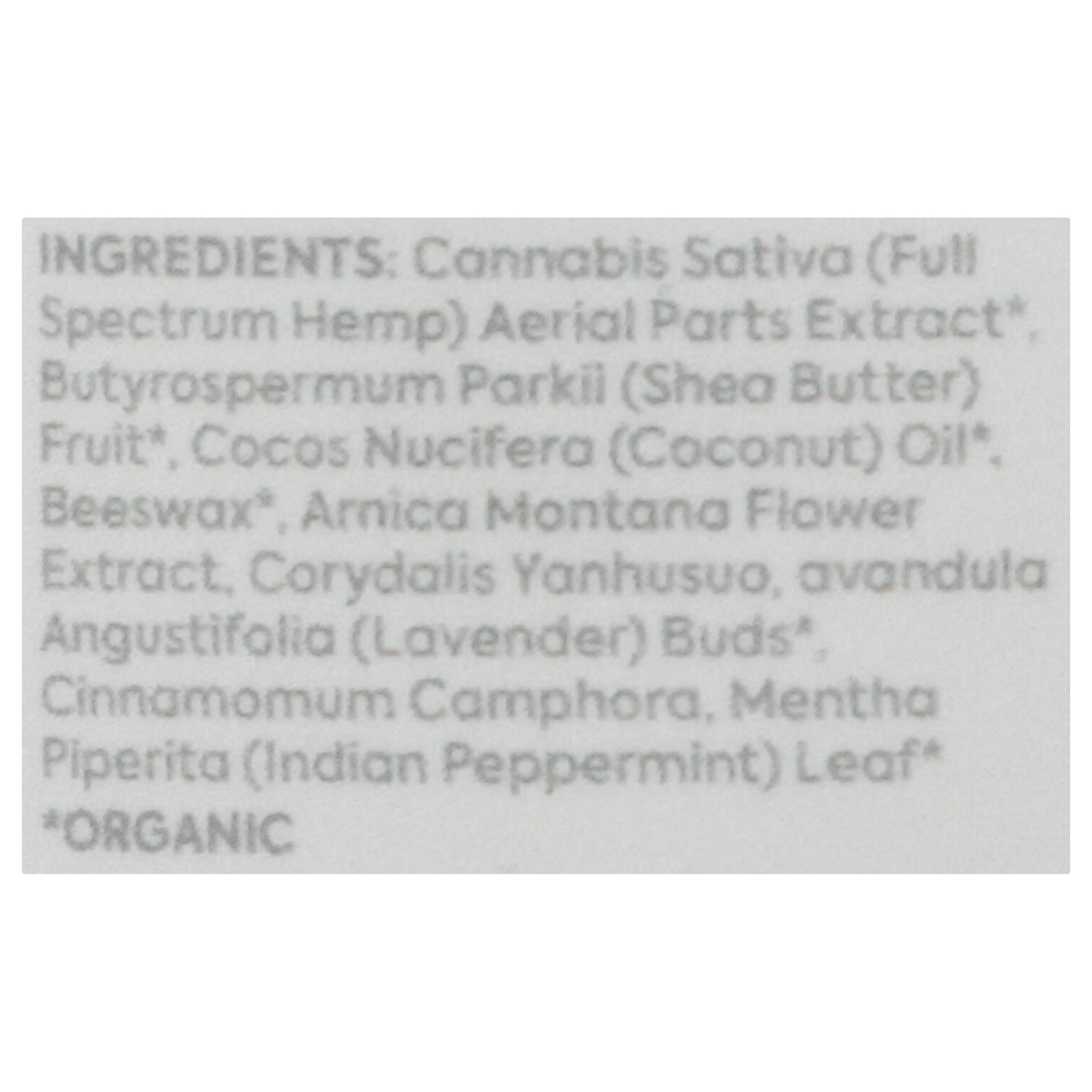 Plant People - Gourmet Mushroom Wondercalm Peach - 1 Each-60 Count - Image 2