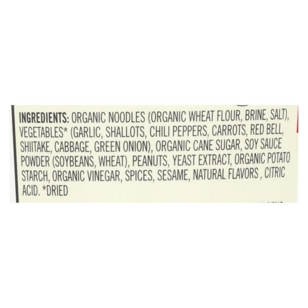 Dr. Mcdougall’s Asian Noodle Soup, Spicy Kung-pao  - Case Of 6 - 2 Oz - Image 2