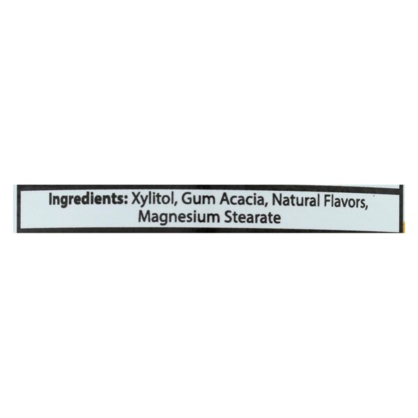 Epic Dental - Xylitol Mints - Fruit Xylitol Bottle - 180 Ct - Image 3