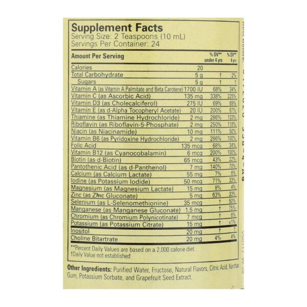 Childlife Multi Vitamin And Mineral Natural Orange Mango - 8 Fl Oz - Image 2