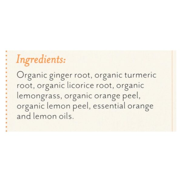 Rishi Tea Bag - Turmeric Ginger - Case Of 6 - 15 Bags - Image 2