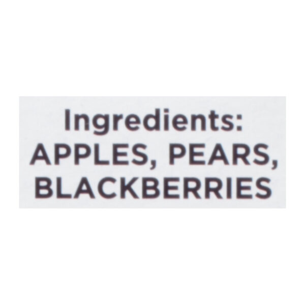 Chum Fruit Bites - Fruit Bites Berry 4pk - Case Of 6-2.8 Oz - Image 2
